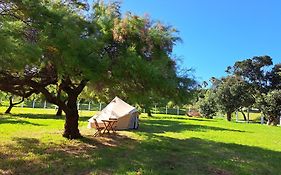 Bearsu Nature Almoxarife